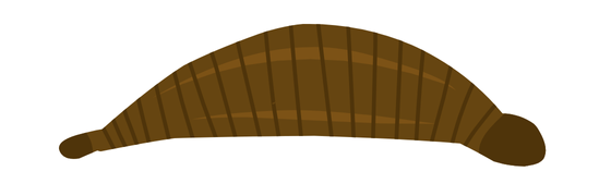 Bebek Sülük Resimleri Fotoğrafları Isparta Sülük Sağlıklı Yaşam Çiftliği