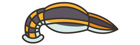 Kozmetik Sülük Resimleri Fotoğrafları Isparta Sülük Sağlıklı Yaşam Çiftliği